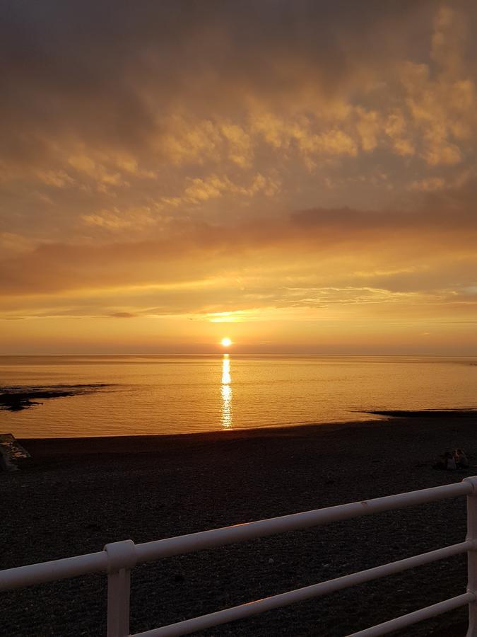 Parc Y Bryn Serviced Apartments Aberystwyth Buitenkant foto